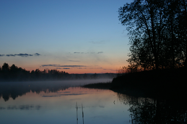 IMG_3223